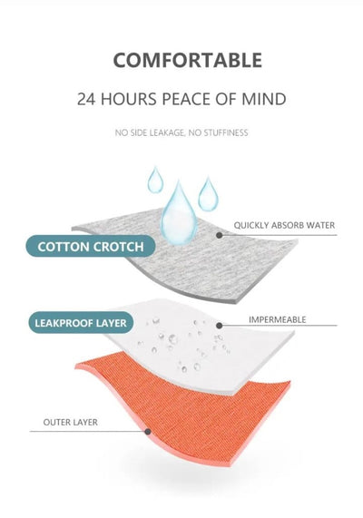 Absorbent Periods Panty